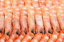 Tiger Prawn