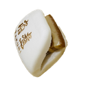 Frozen Japanese Kakuni Pau 日本角煮包