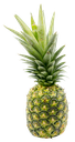 Malaysia Sarawak Pineapple