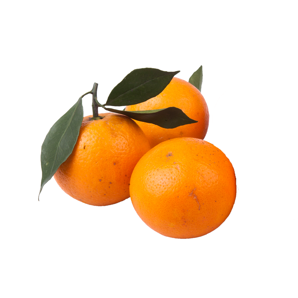 Fresh Orange 香橙 