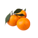 Fresh Orange 香橙 