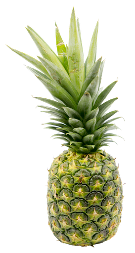 Malaysia Sarawak Pineapple 砂劳越黄梨
