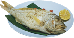 D.Fried Red Snapper